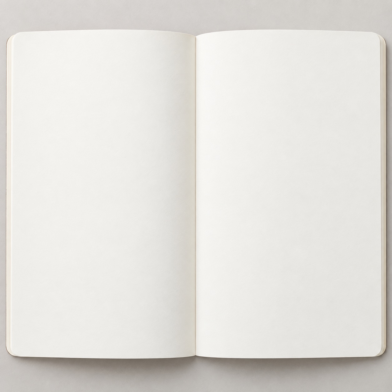 Páginas en blanco de la libreta